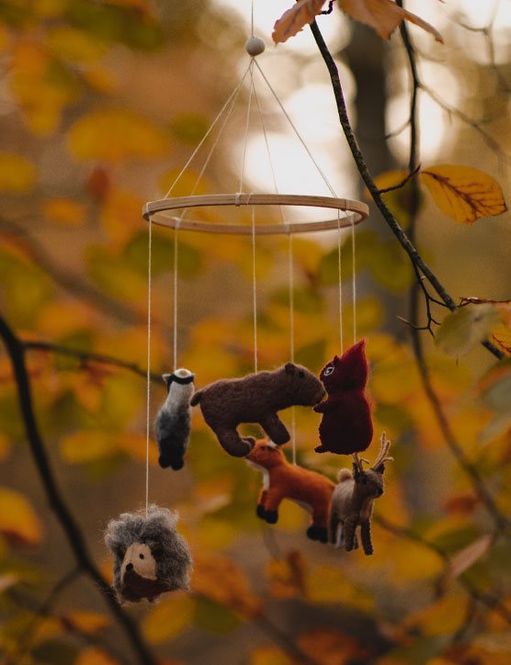 Hovedbilde Uro - Skogsdyr