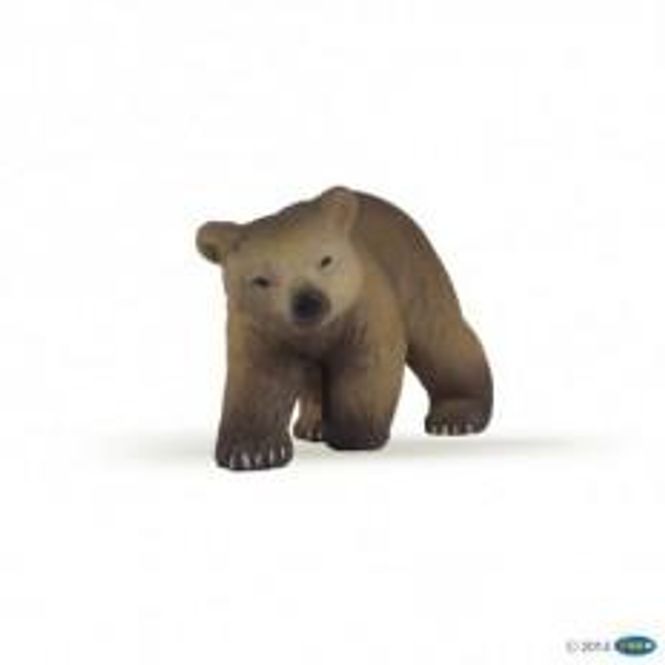 Hovedbilde Bjørnunge